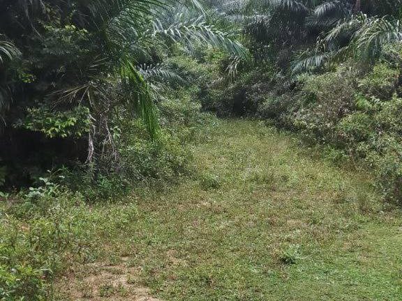 Tanah Lot Bangunan 5,973 sqft di Jasin Melaka | Siap Pagar | Ada Rezab Jalan