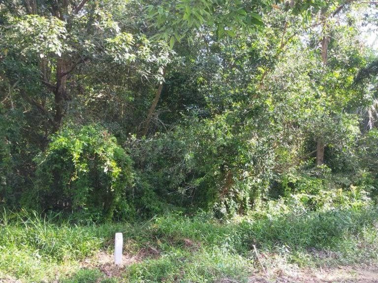 Tanah Tepi Lebuhraya AMJ Bukit Lintang Melaka Tengah 1.30 Ekar Freehold