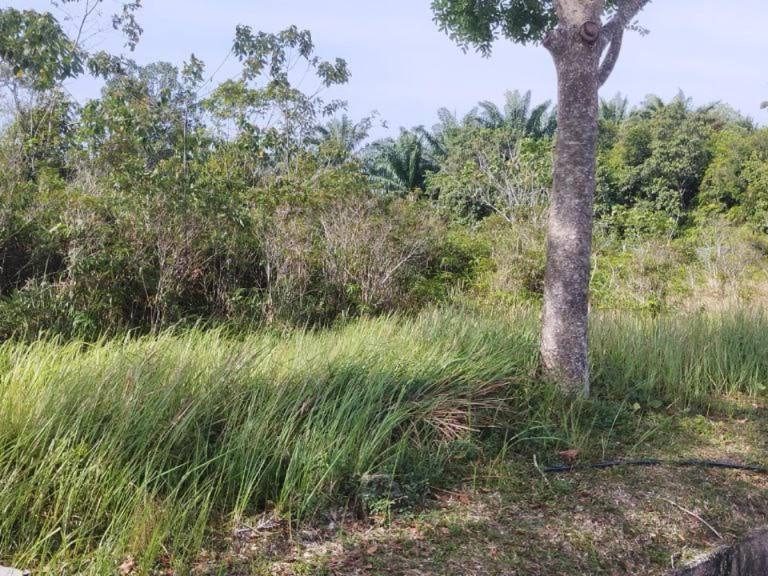 Tanah Status Stesen Minyak Bukit Lintang Melaka Tengah 1.5 Ekar Freehold