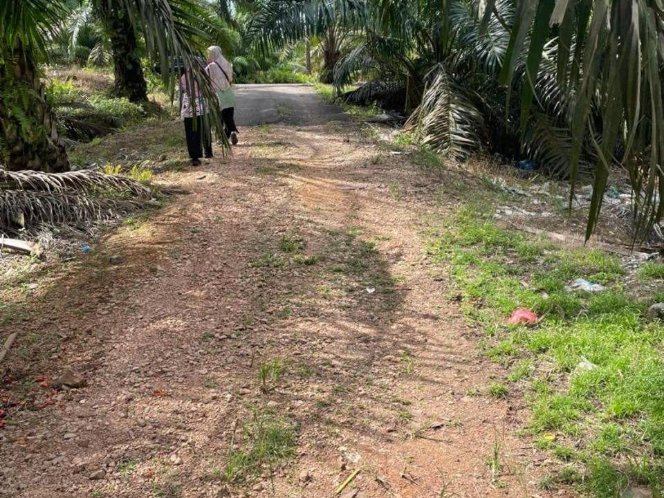 🌿 Tanah Pertanian Freehold 6 Ekar – Berhadapan Sedenak Data Centre, Kulai
