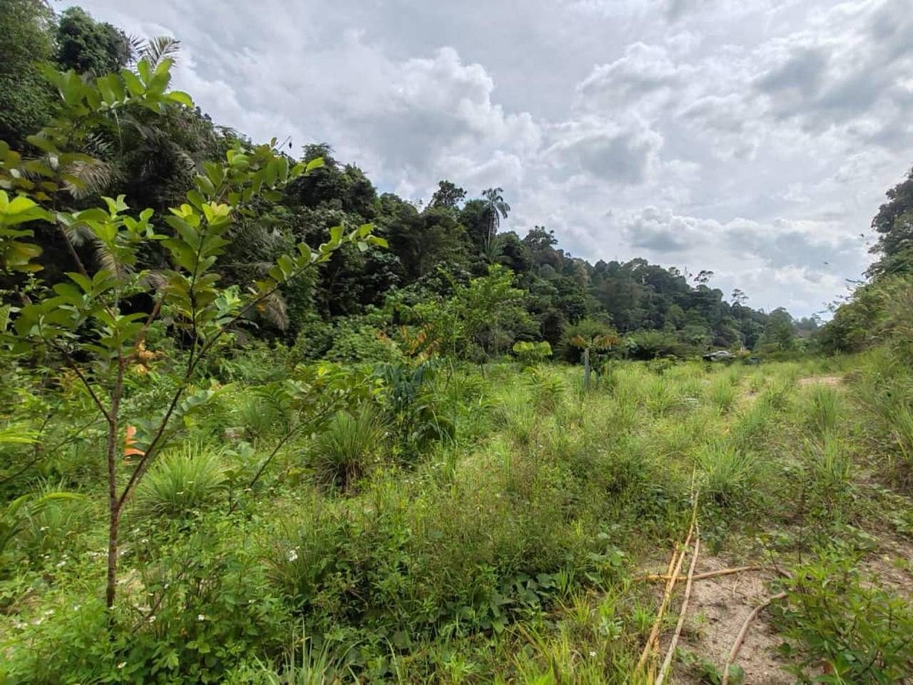 Tanah Pertanian Jalan Kuari Sungai Long Hulu Langat 1 Ekar