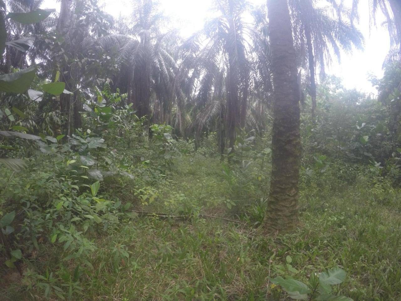 🏡 Tanah Untuk Dijual | Ampar Tenang, Dengkil (Tanah Rata Sesuai Projek Perumahan)