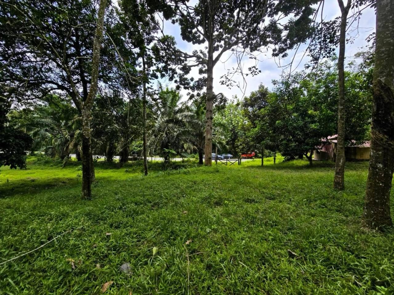 šæ Tanah Pertanian Getah & Pokok Buah Untuk Dijual | Rembau, Negeri Sembilan šæ
