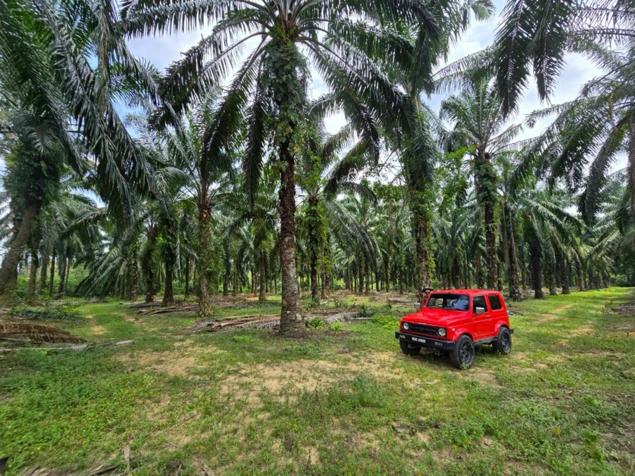 š“ Tanah Kebun Sawit 4.1 Ekar Untuk Dijual | Rembau, Negeri Sembilan (Freehold) š“