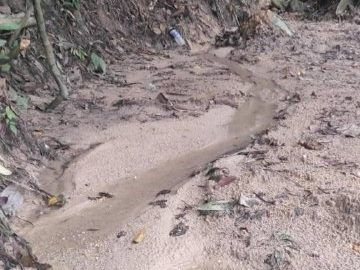 Tanah Pertanian Sg Sub Hulu Langat Selangor 3.25 Ekar