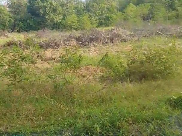šæ Tanah Pertanian Untuk Dijual | Teloi Kanan, Baling, Kedah