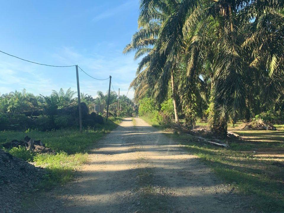 š“ Kebun Sawit 4.94 Ekar Untuk Dijual ā Bukit Gelugur, Kubu, Selama Perak