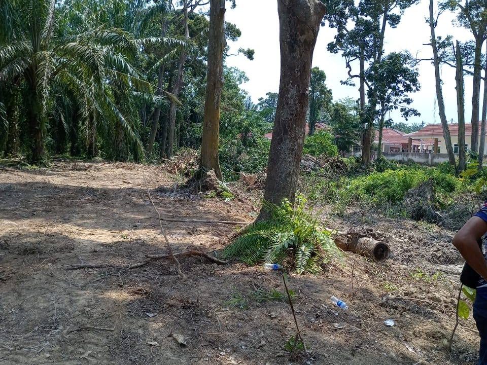 š¾ Tanah Pertanian 1.89 Ekar | Kampung, Perak | Freehold | RM300,000