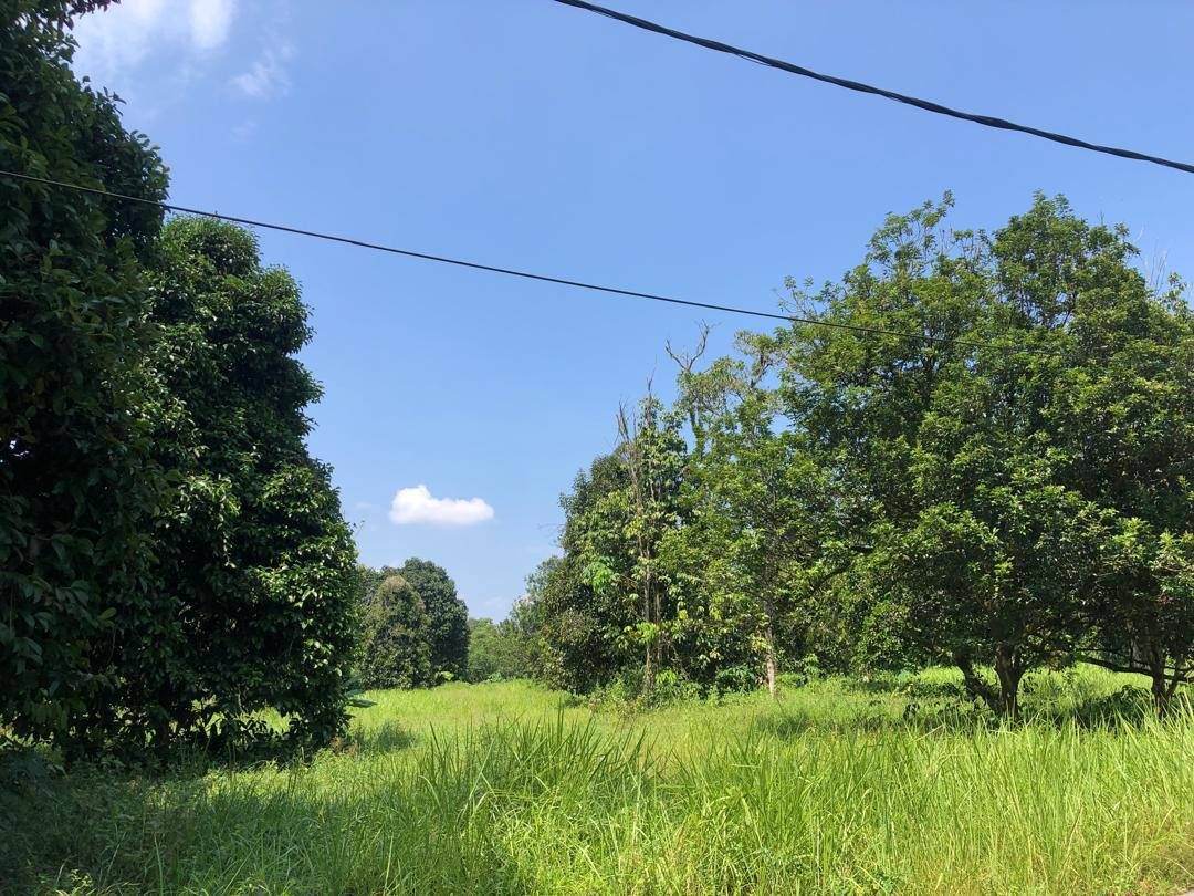 š³ Tanah Pertanian 5.6 Acre For Sale | Ulu Yam, Antara Gapi, Hulu Selangor