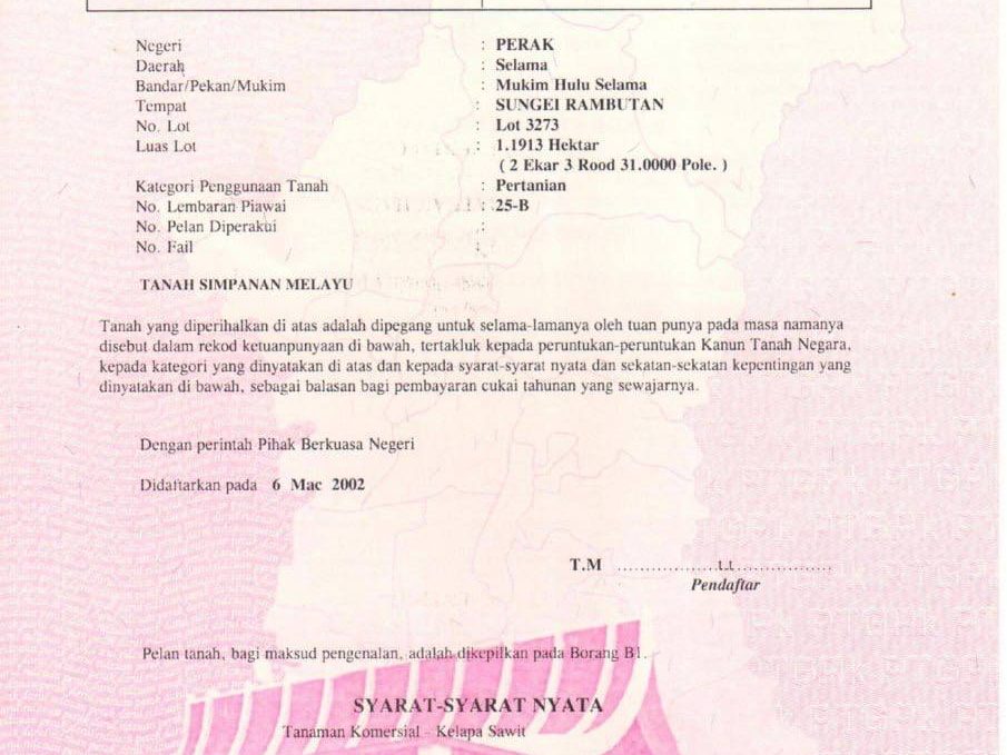 Tanah Pertanian Kg Sungai Rambutan Selama Perak 2.95 Ekar Freehold