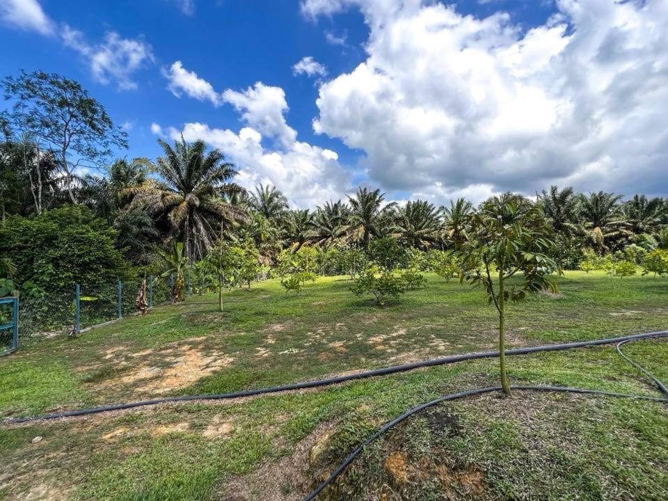 š Kebun Lemon 5 Ekar | Machap Alor | Siap Infrastruktur | RM750k