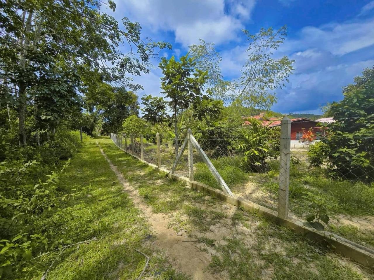 🌿 Tanah Pertanian 3 Ekar | Johol Negeri Sembilan | Freehold
