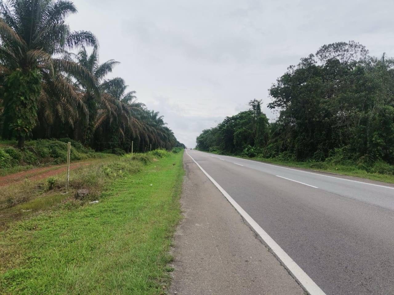 šæ Tanah Pertanian 20 Ekar ā Tepi Jalan Besar, Mukim Ulu Sungai Sedili Besar, Kota Tinggi