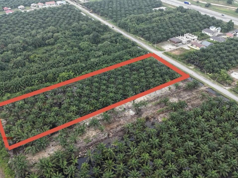 šæ Tanah Pertanian Strategik 1.87 Ekar ā Jalan Kemandol, Jenjarom (Tepi Jalan Utama, Bersebelahan Bandar Rimbayu)