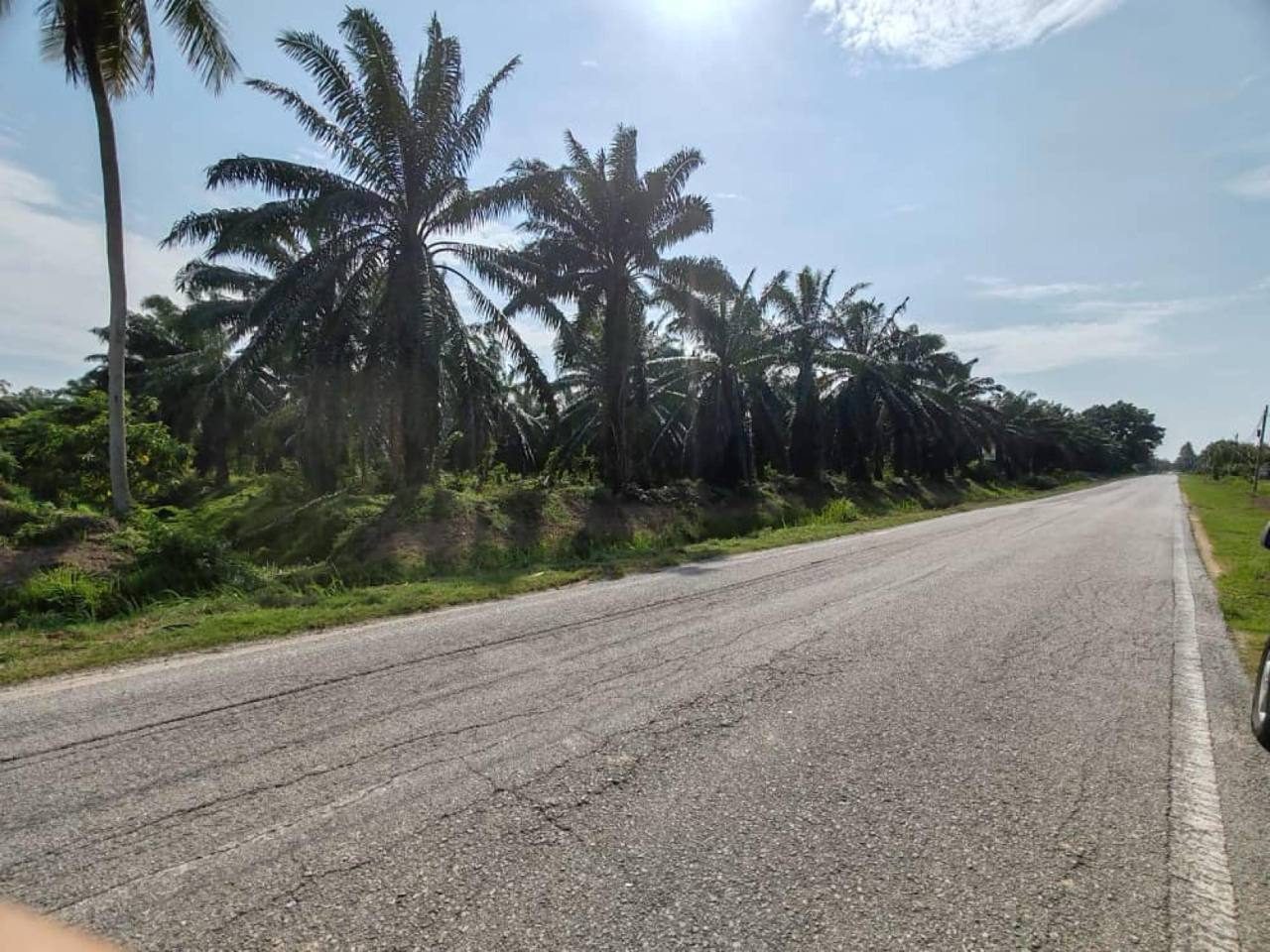 Tanah Pertanian 8 Ekar Freehold Jeram Kuala Selangor