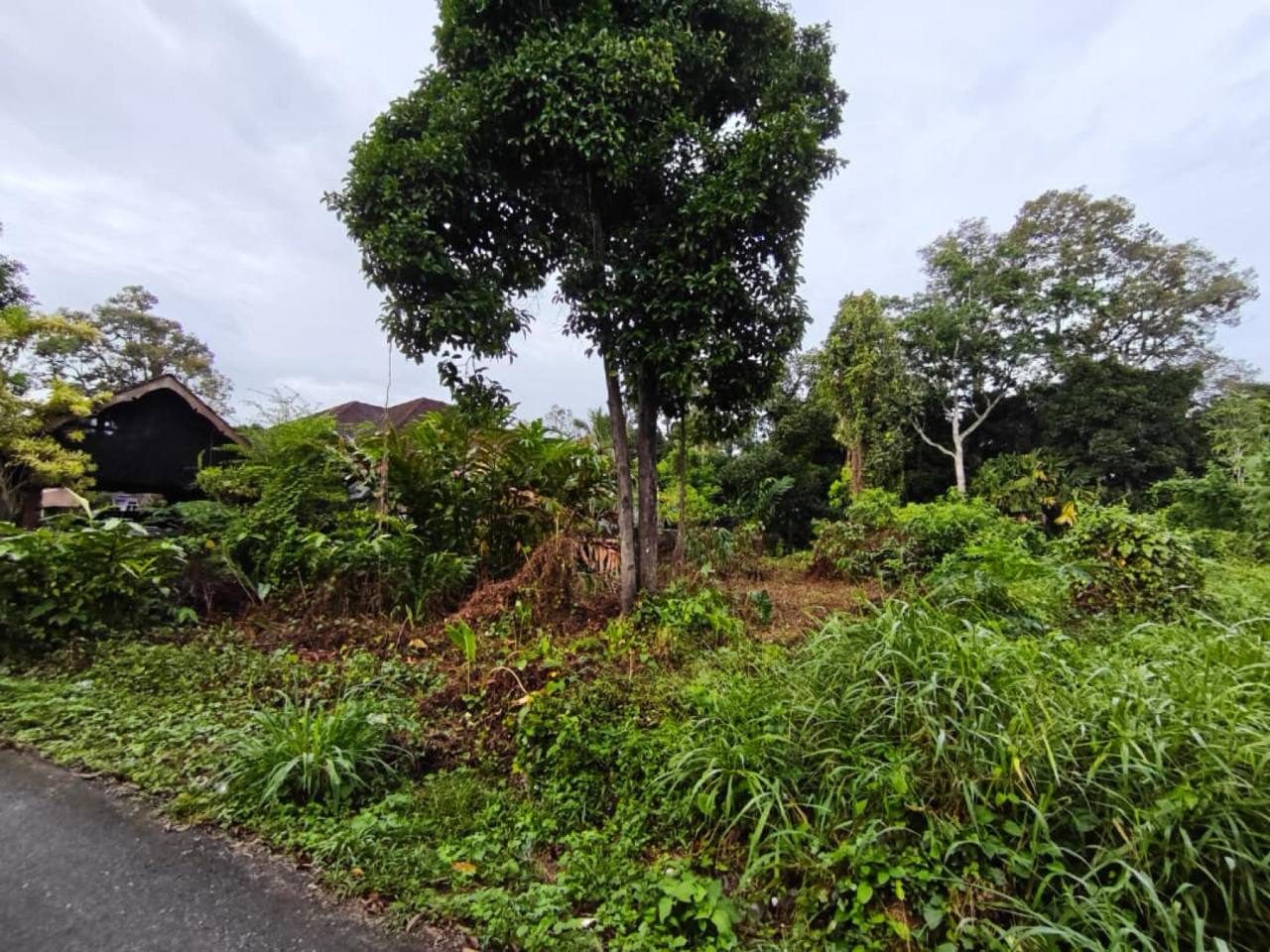 š” Tanah Kampung Freehold ā Bukit Tinggi, Kepala Batas, Kedah