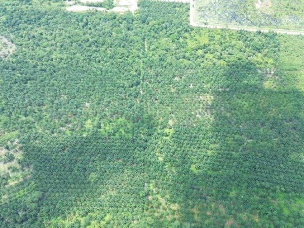 Tanah Industri Tanjung Dua Belas Selangor 2 Ekar Freehold