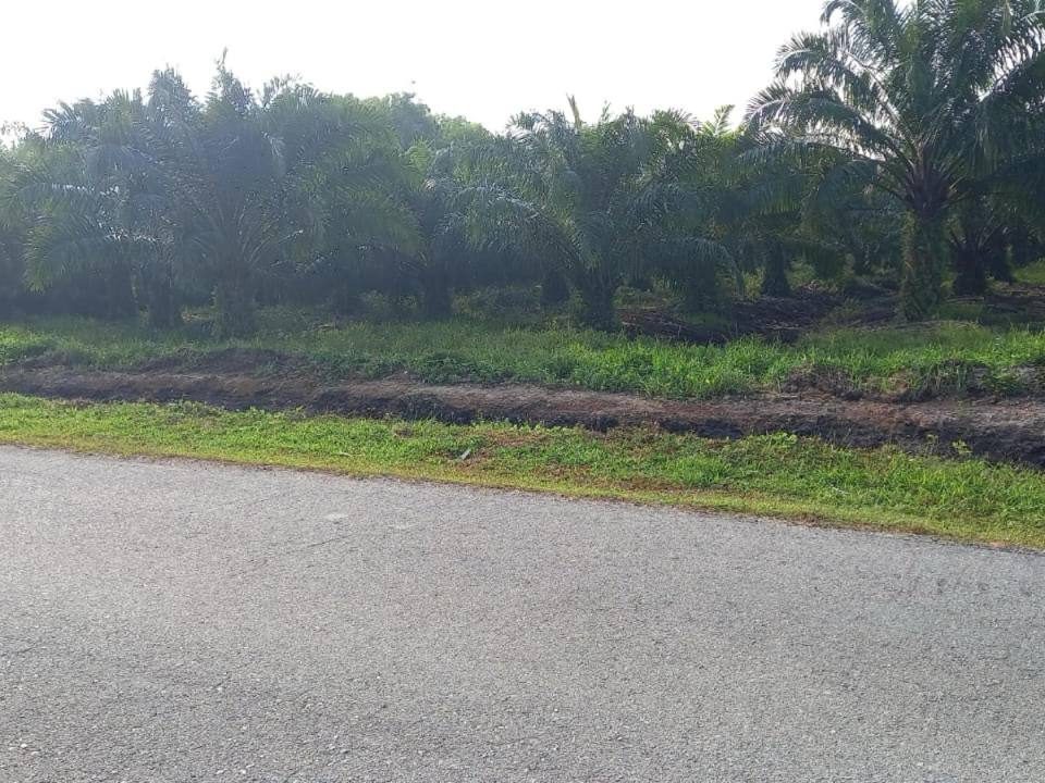 Tanah Pertanian 1.87 Ekar Kuala Langat Berhampiran Rimbayu