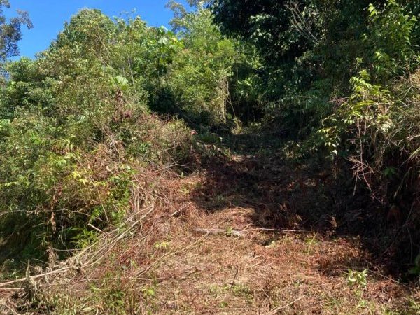 Tanah Pertanian Sri Menanti Kuala Pilah Negeri Sembilan 2.5 Ekar Freehold