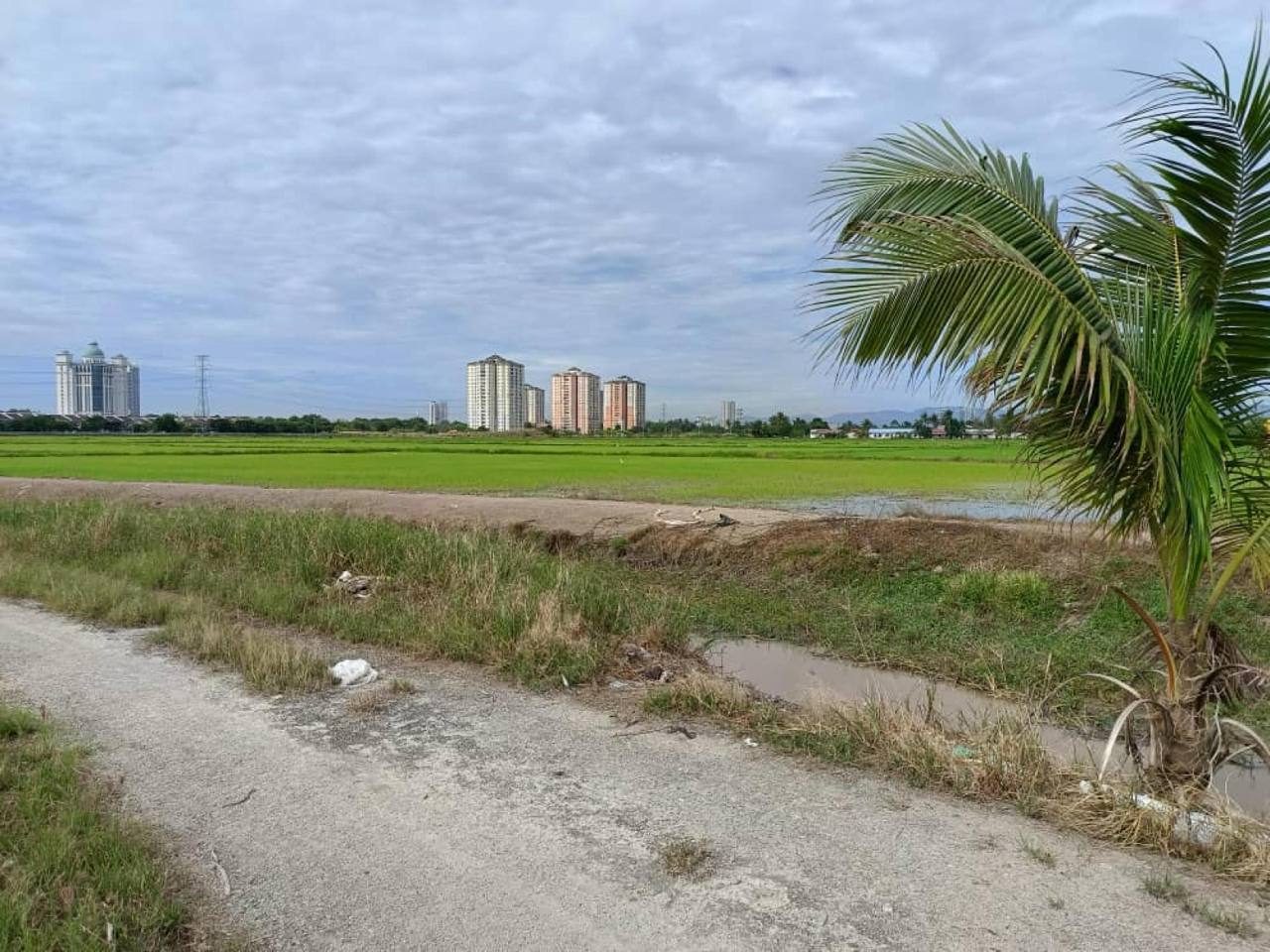 š¾ TANAH PERTANIAN 1.64 EKAR | BANDAR PERDA, PULAU PINANG