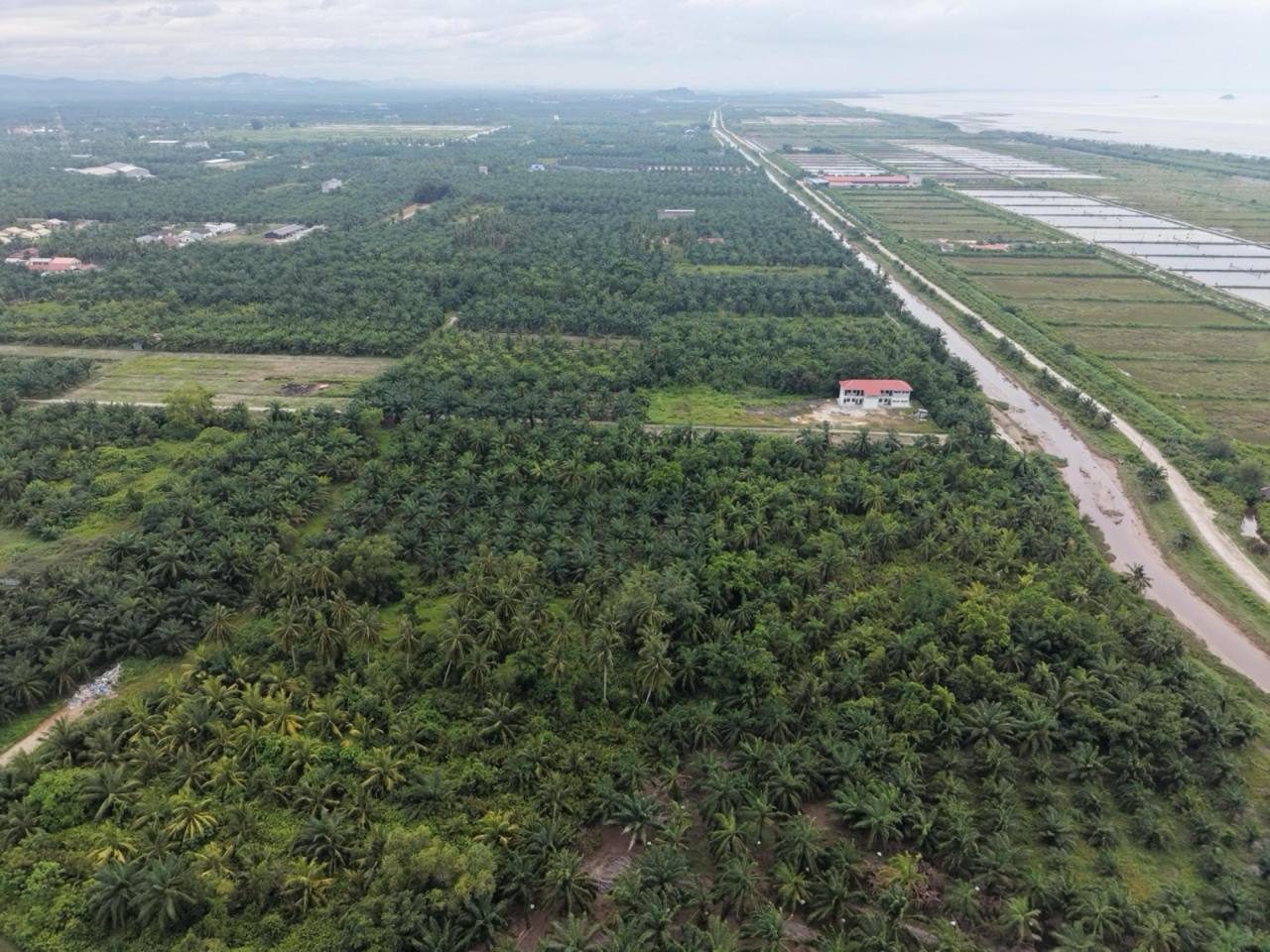 Tanah Pertanian 1 Ekar – Kuala Selangor (Akses Jalan)