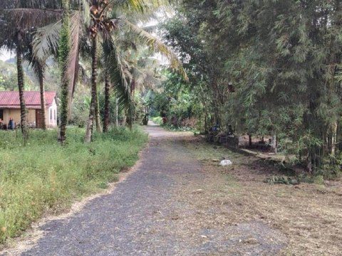 Tanah Pertanian Freehold Sungai Lui Hulu Langat Selangor 22044 sqft