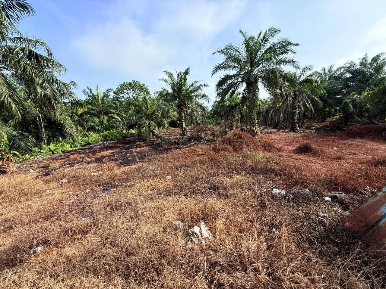 š“ TANAH PERTANIAN UNTUK DIJUAL ā SUNGAI BESAR, SELANGOR š“