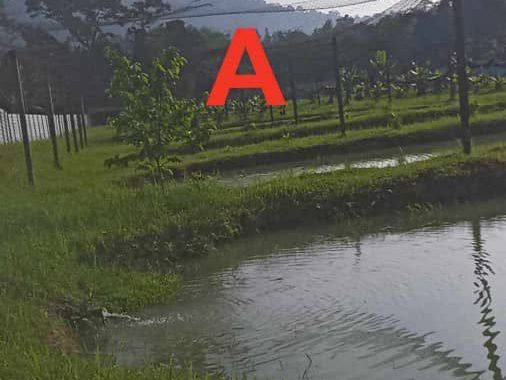 šæ TANAH PERTANIAN 1.725 EKAR | SUNGAI TENGAS, KULIM, KEDAH