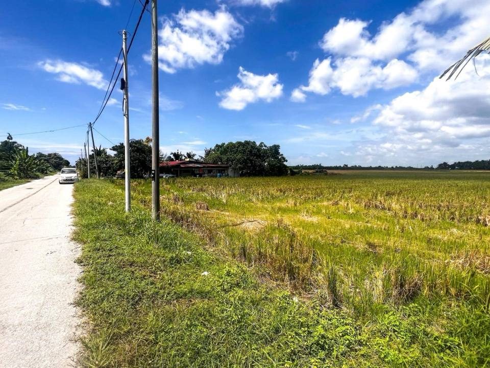 Tanah Sawah 3 Ekar Depan Jalan Utama Pasir Panjang Sabak Bernam
