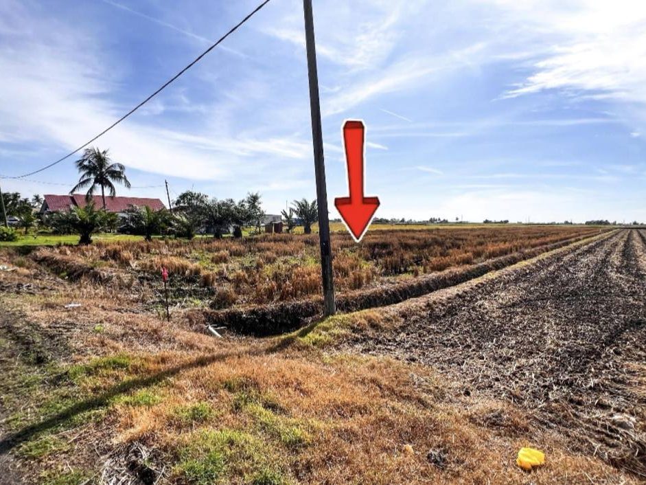 š¾ TANAH SAWAH DEPAN JALAN UTAMA | PASIR PANJANG, SABAK BERNAM