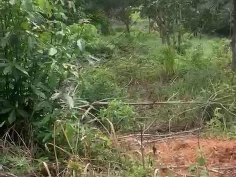 šæ TANAH PERTANIAN 1 EKAR ā BUKIT CHERAKAH, ALAM BUDIMAN, SHAH ALAM