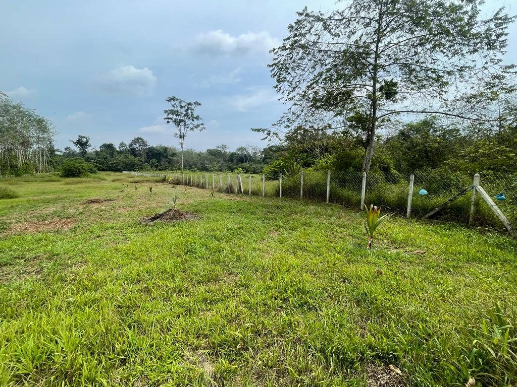 šæ TANAH UNTUK DIJUAL | ULU SEDIM, BALING, KEDAH šæ