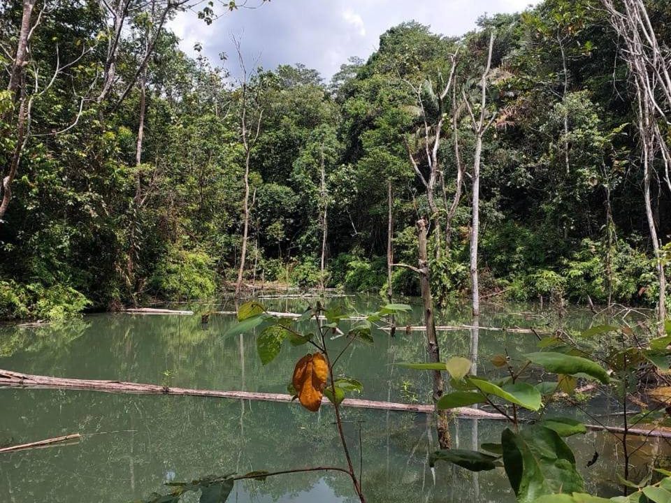 Tanah Pertanian 4.3 Ekar | Berhampiran Empangan Gemencheh, Negeri Sembilan