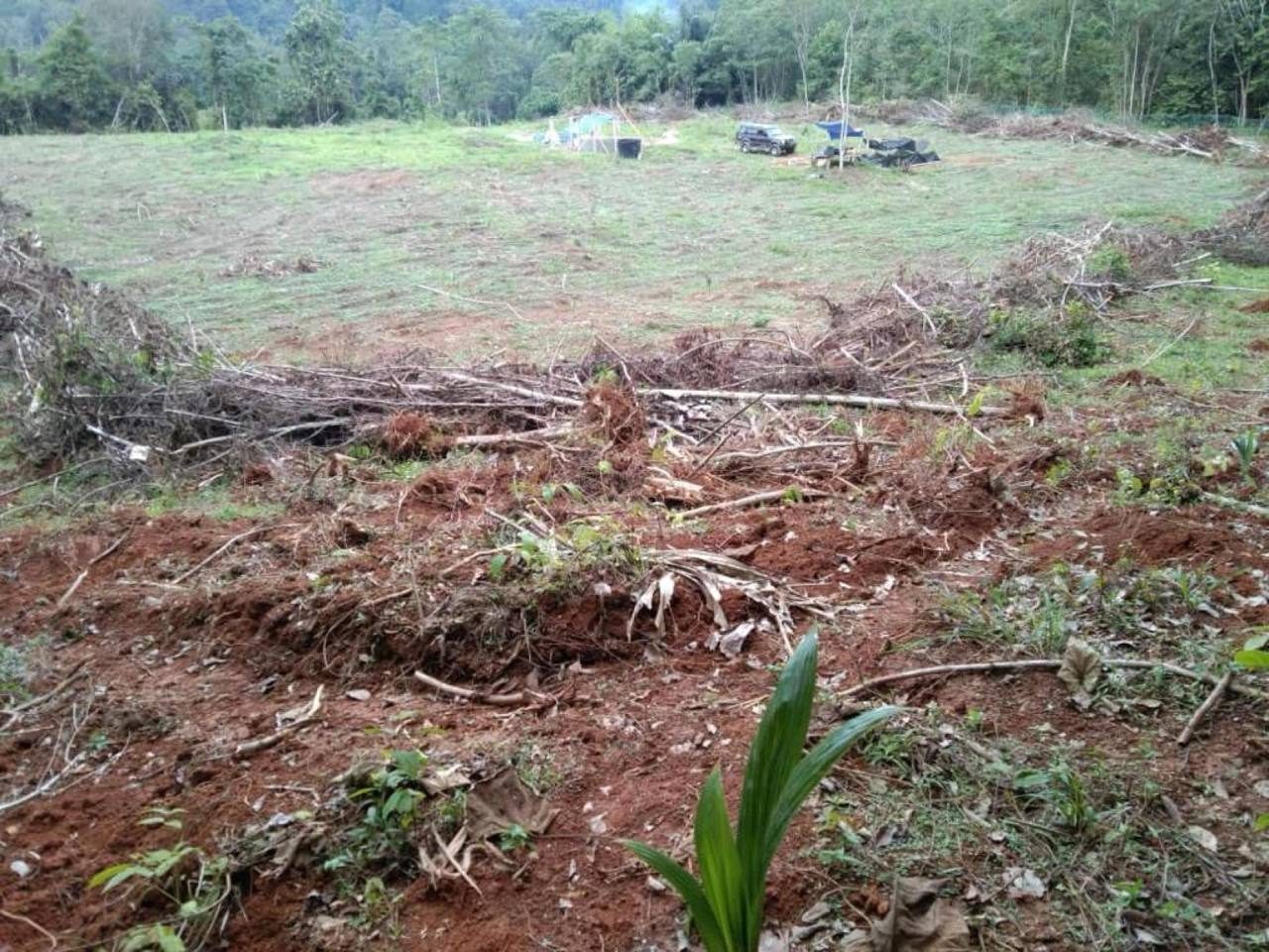 Tanah 2.95 Ekar Sungai Kenaboi Jelebu Freehold Siap Rata