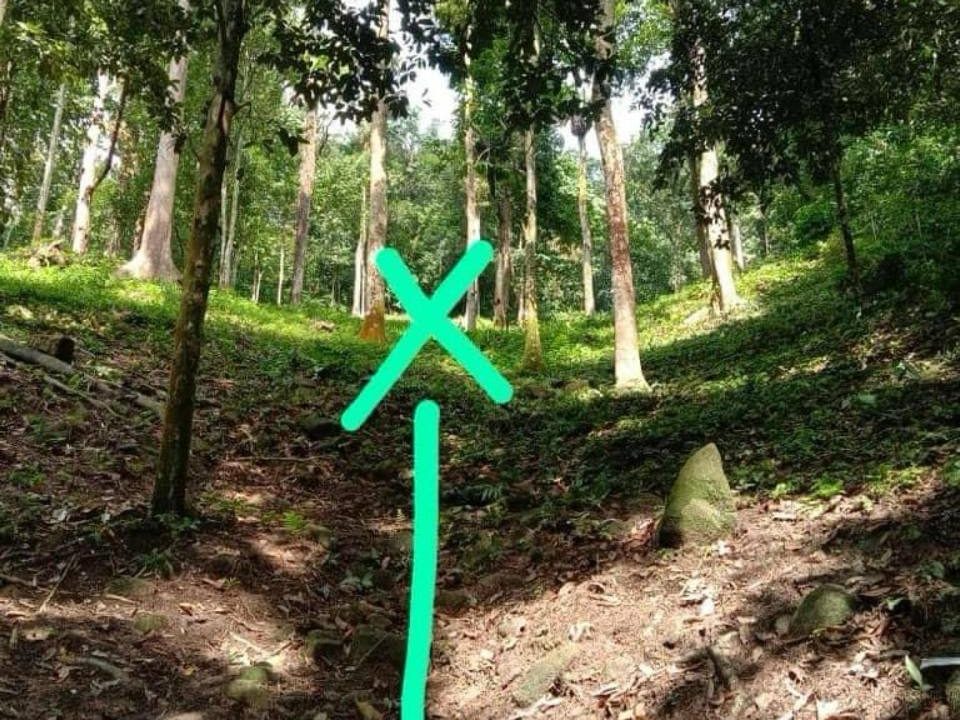š³ Tanah Dusun Durian Premium Tengah Bandar | Bukit Lanjan, KL š³