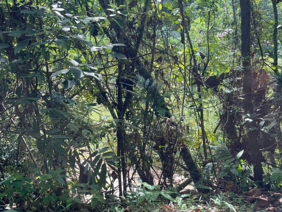 Tanah Pertanian Kg Sungai Pusu Gombak Selangor 2.47 Ekar Zoning Bangunan Tepi Sungai