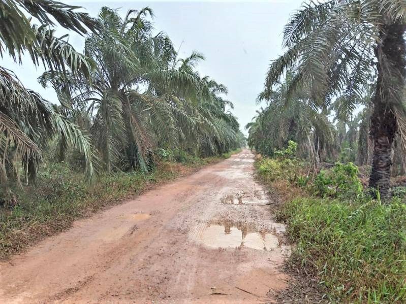Tanah Pertanian 5.22 Ekar Kampung Lepau Pengerang Johor Freehold Dekat RAPID & Sebana Cove