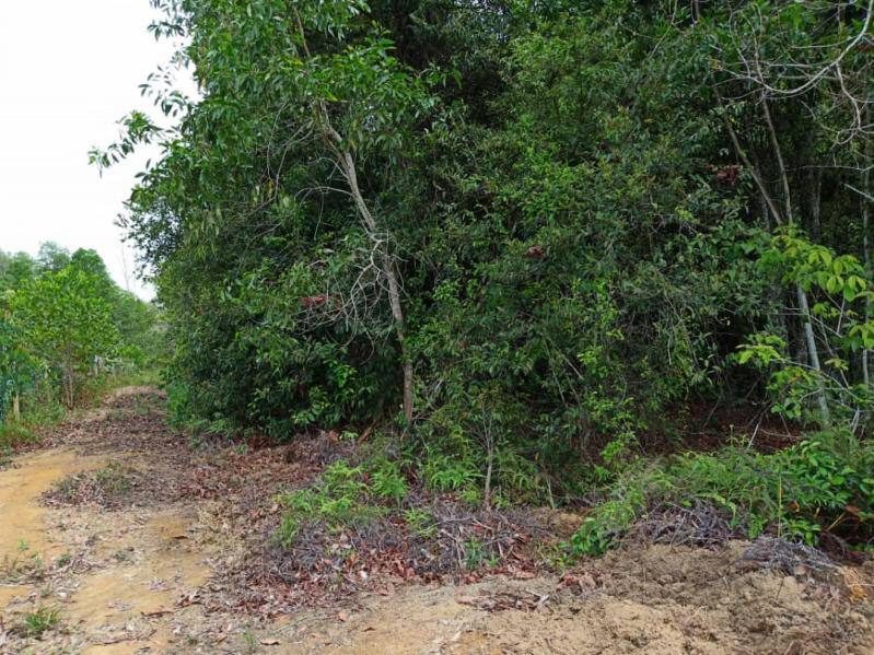 Tanah Pertanian 1.72 Ekar Bukit Gelugor Pengerang Johor Dekat RAPID Potensi Pembangunan