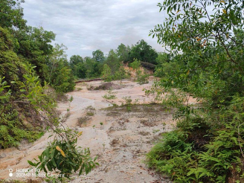 Tanah Pertanian 5 Ekar Dusun Tua Hulu Langat Selangor Freehold Dengan Infrastruktur Sedia Ada