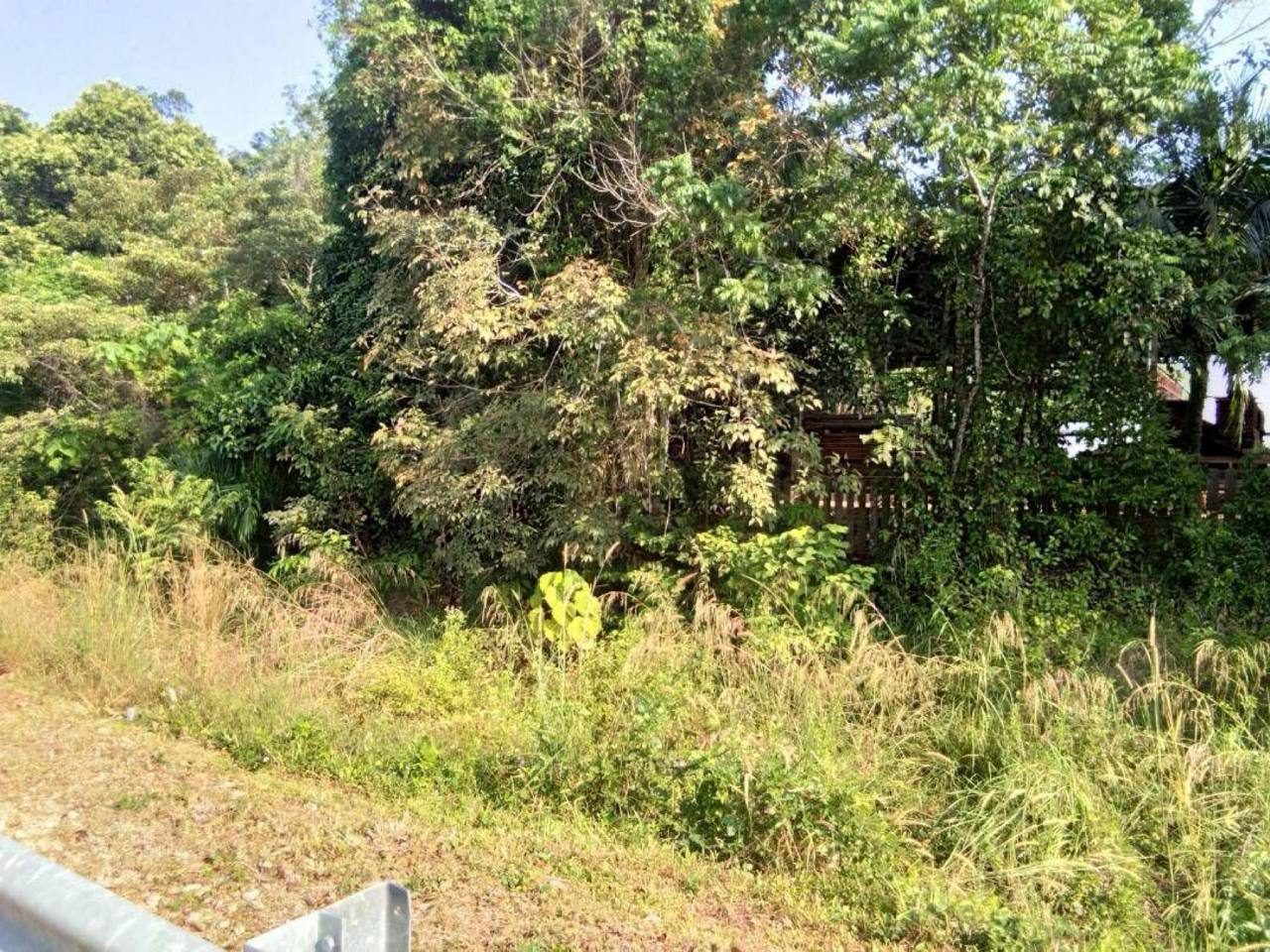 Tanah Industri 9 Ekar Segamat Johor Freehold Tepi Jalan Utama