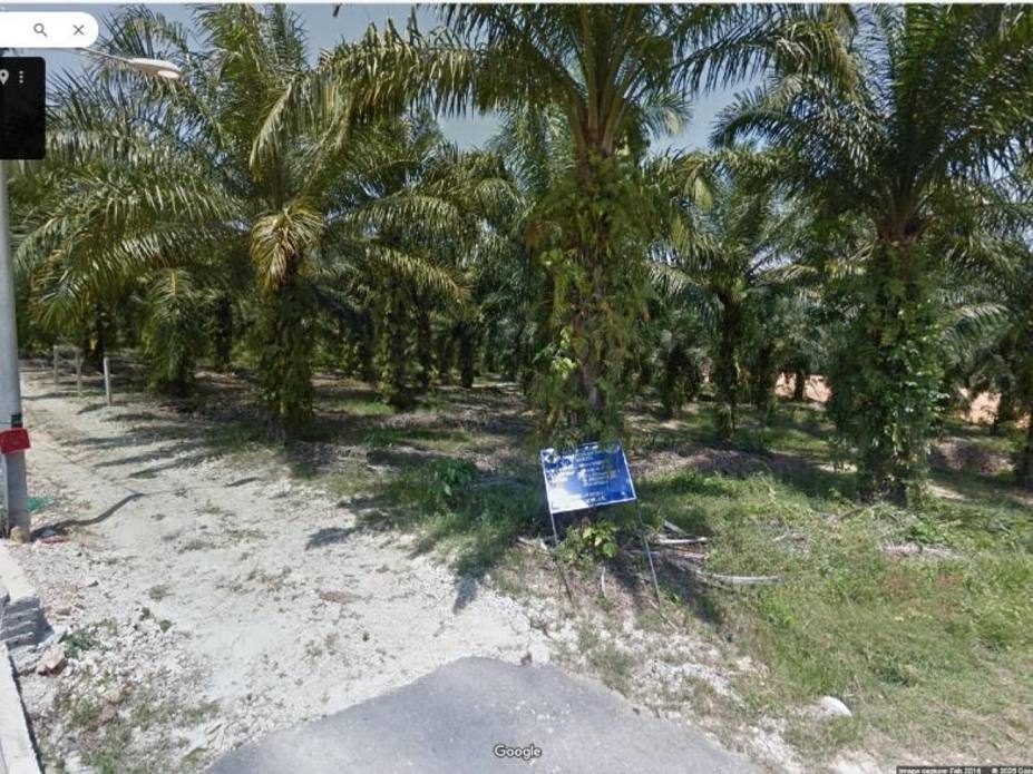 Tanah Pertanian Freehold 1.26 Ekar Jenderam Hilir, Dengkil, Sepang