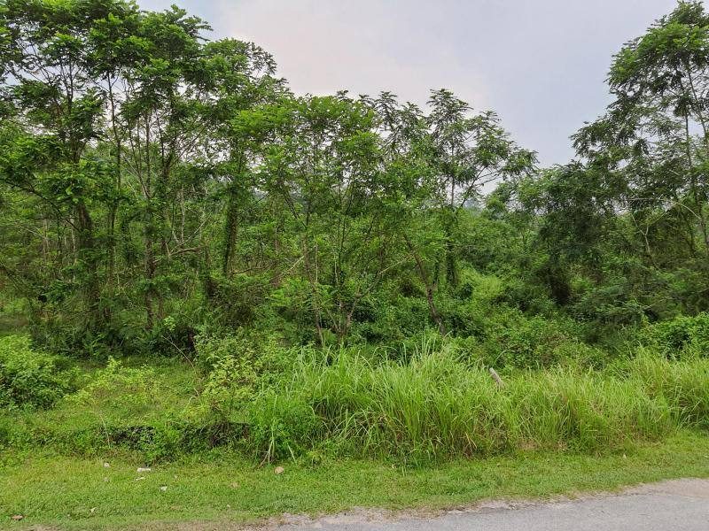 Tanah 1.95 Ekar Freehold Tepi Jalan Seremban–Jelebu