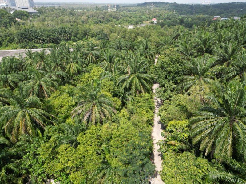 Tanah Bangunan Bukit Damar Dengkil 1.764 Ekar Berhampiran Cyberjaya