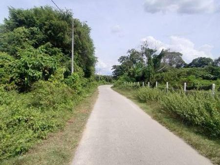 Tanah Freehold Mantin NS 1.8 acre