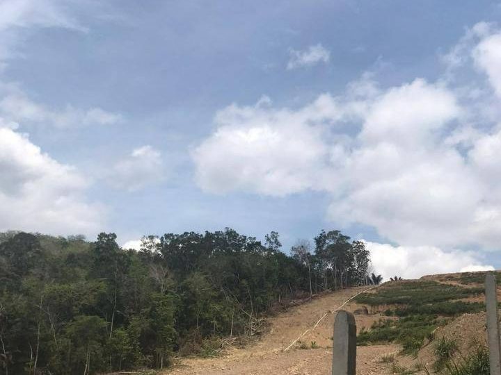 Tanah Pertanian Freehold 9.42 Ekar @ Johol, Negeri Sembilan
