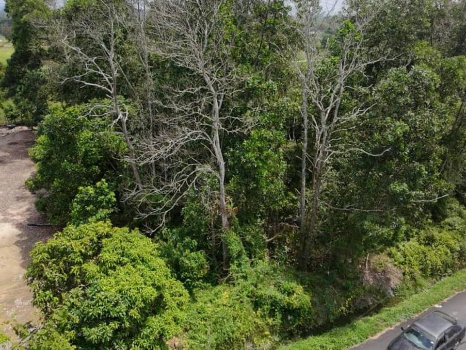 š³ TANAH LOT BANGLO UNTUK DIJUAL | KAMPUNG BAHARU MAT CILI, CHUKAI TERENGGANU š³