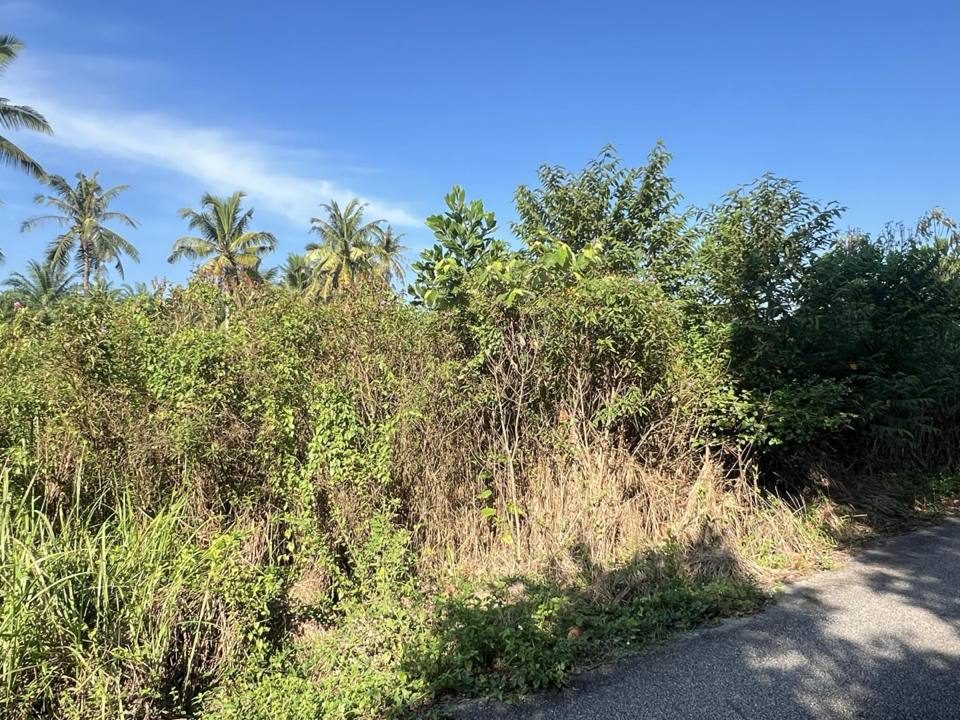 Tanah Lot Banglo Binjai Kemaman Terengganu 6630 Kaki Persegi Freehold