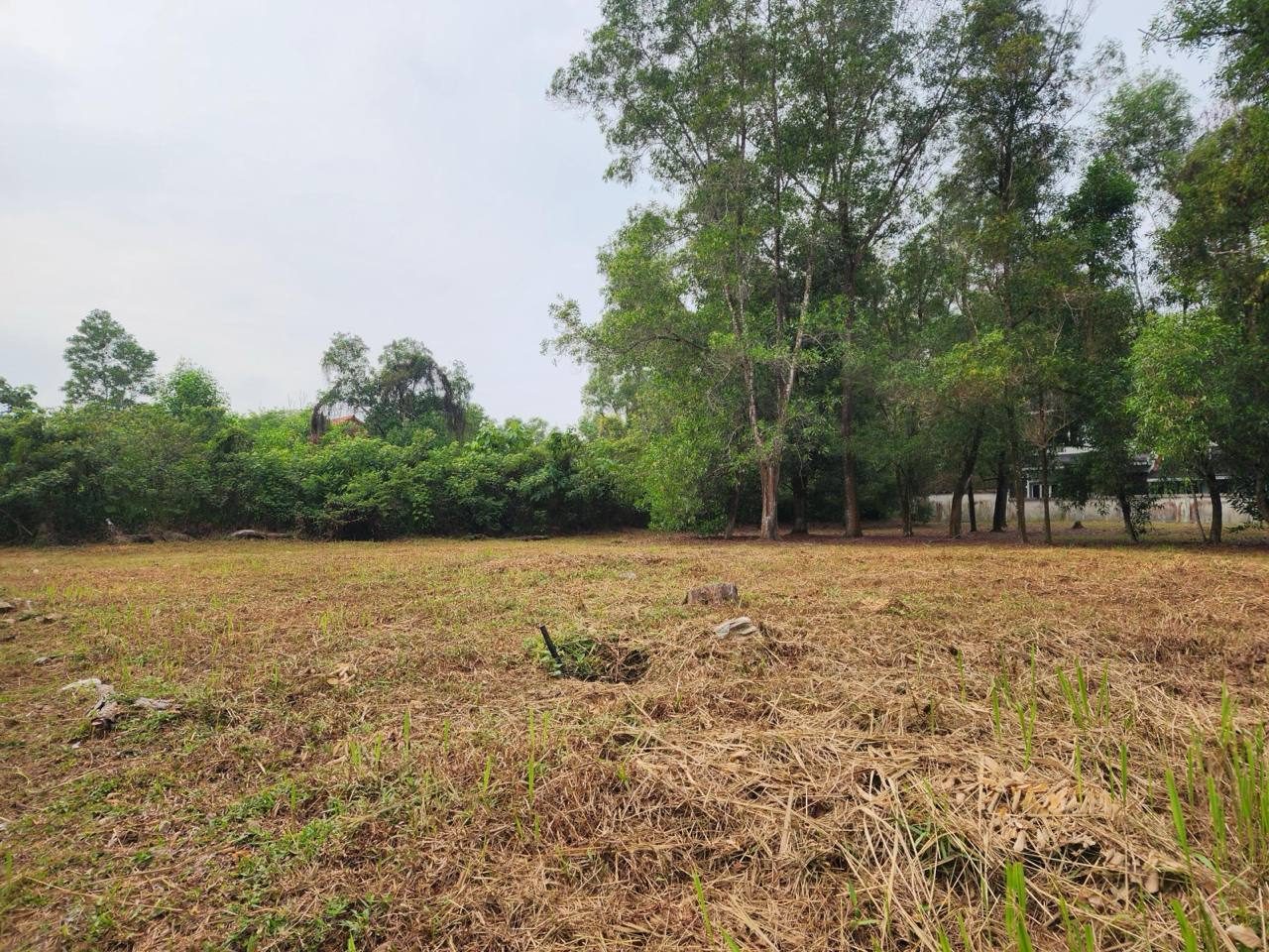 Tanah Lot Banglo Jalan Mihrab U8/12 Bukit Jelutong Shah Alam Selangor 9138 Sqft Freehold