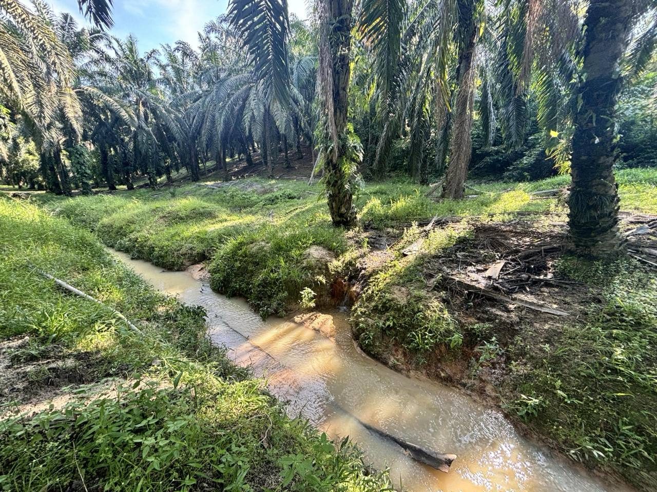 Tanah Bangunan 8019 sqft Pagoh Johor Tepi Jalan Dekat Exit PLUS & Bandar Universiti