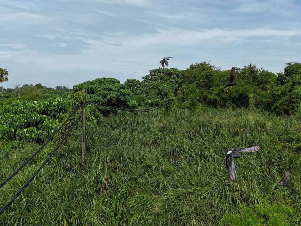 Tanah Lot Banglo Telok Datok Kuala Langat 7330 Sqft Freehold Dekat Banting